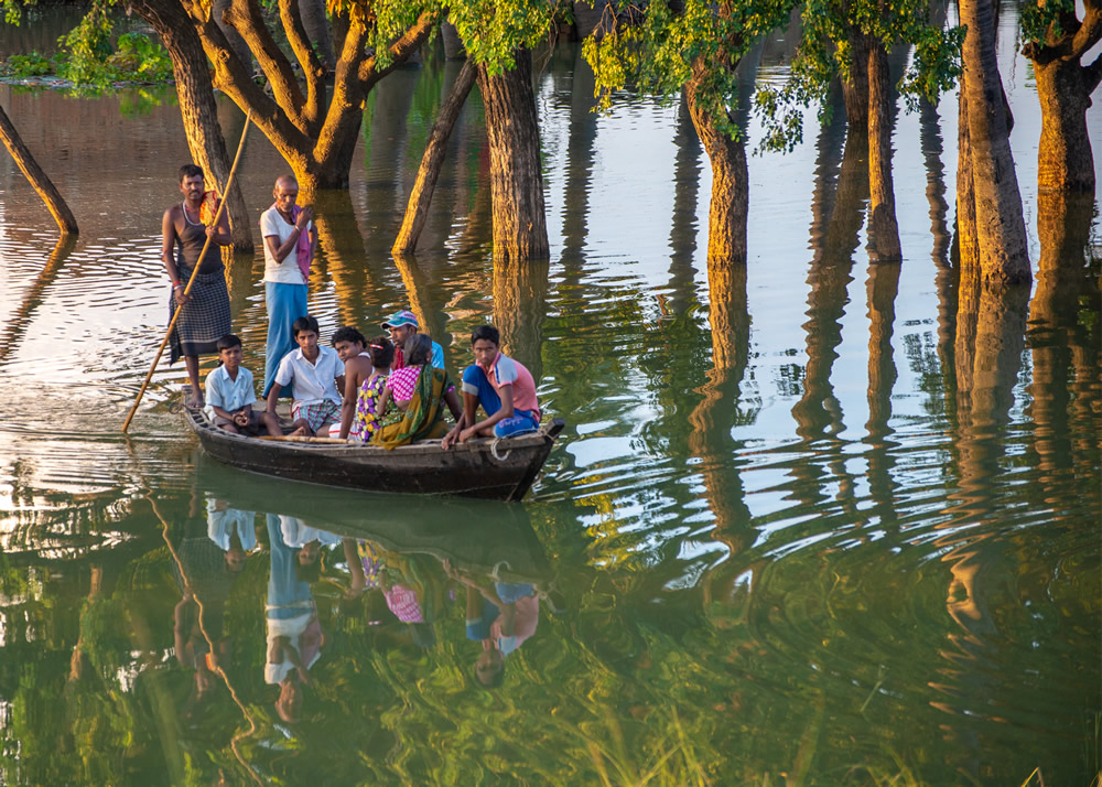 My Journey With Trees: Fascinating Photo Series By Dakshina Murthy